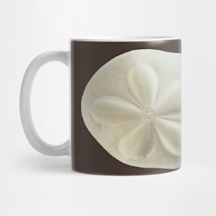 Sand Dollar Mug